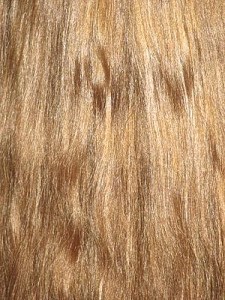 frizzy_hair_solutions